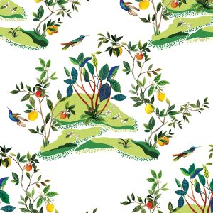 Citrus Hummingbird Designer Wallpaper DBW9001