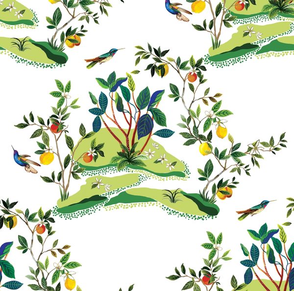 Citrus Hummingbird Designer Wallpaper DBW9001